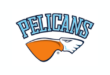 Pelicans